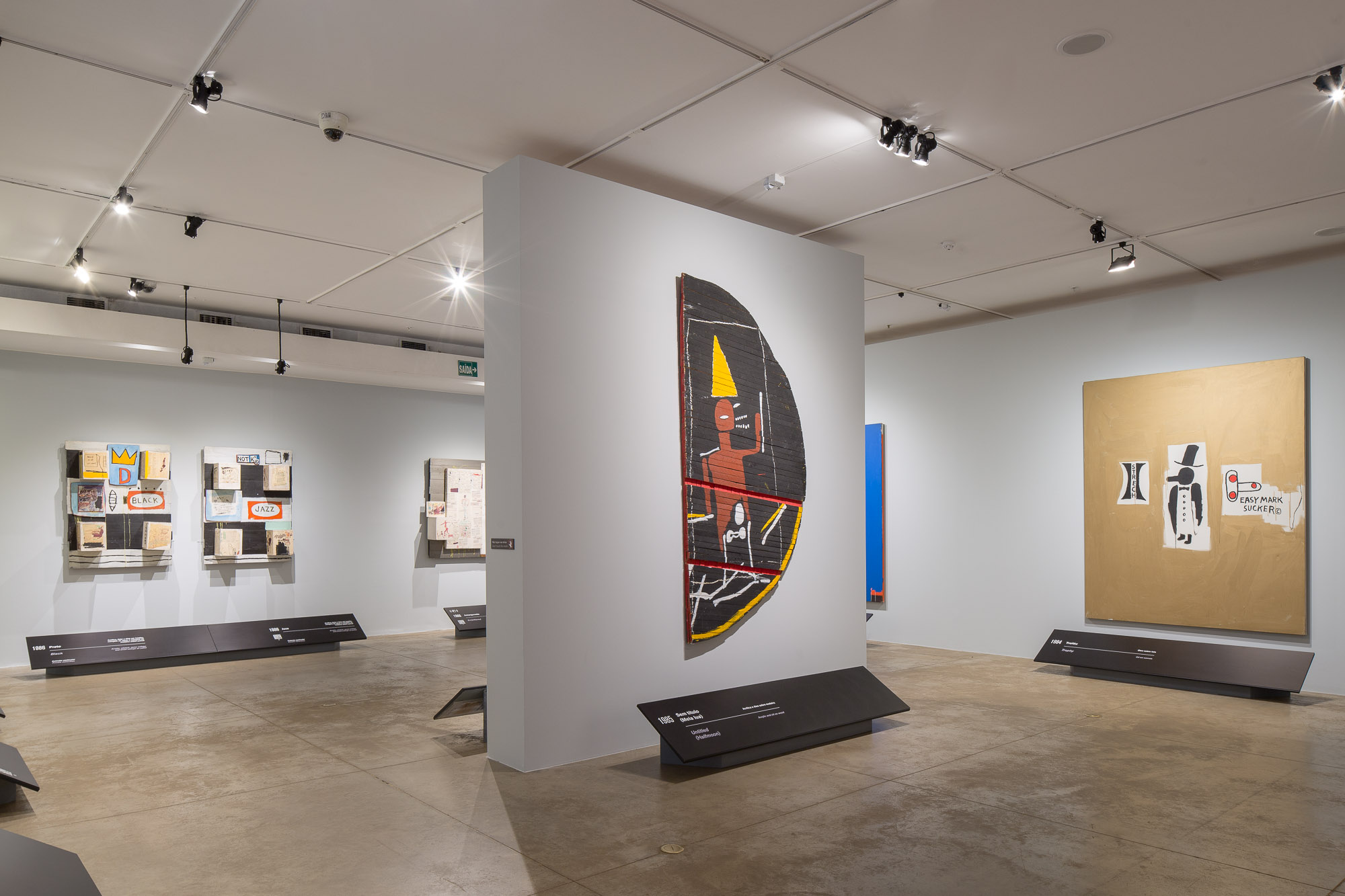 180528_Basquiat_248